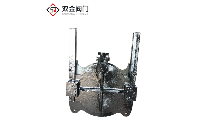 铸铁镶铜闸门